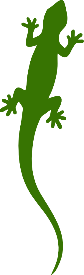 loader image